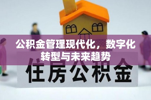 扎兰屯公积金管理现代化，数字化转型与未来趋势