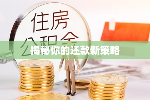 扎兰屯揭秘你的还款新策略