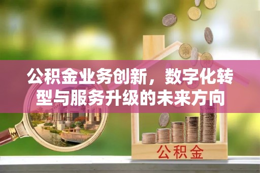 扎兰屯公积金业务创新，数字化转型与服务升级的未来方向