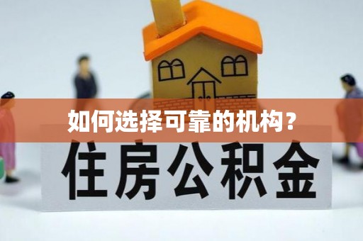 扎兰屯如何选择可靠的机构？
