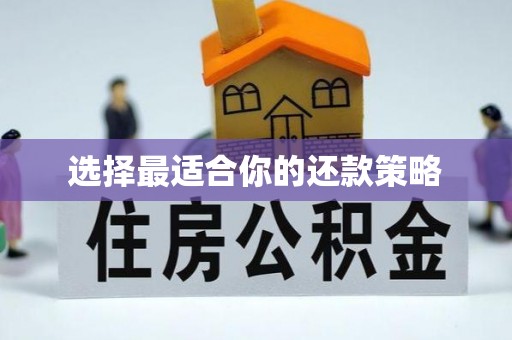 扎兰屯选择最适合你的还款策略