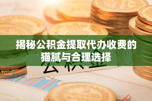 扎兰屯揭秘公积金提取代办收费的猫腻与合理选择