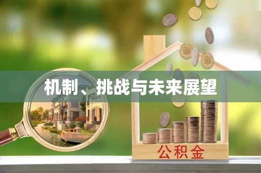 扎兰屯机制、挑战与未来展望